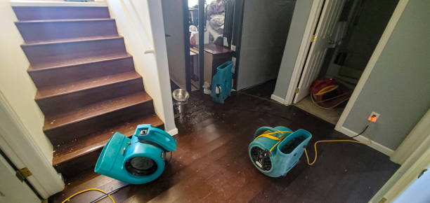 Best Mold removal after water damage  in Lipscom, AL