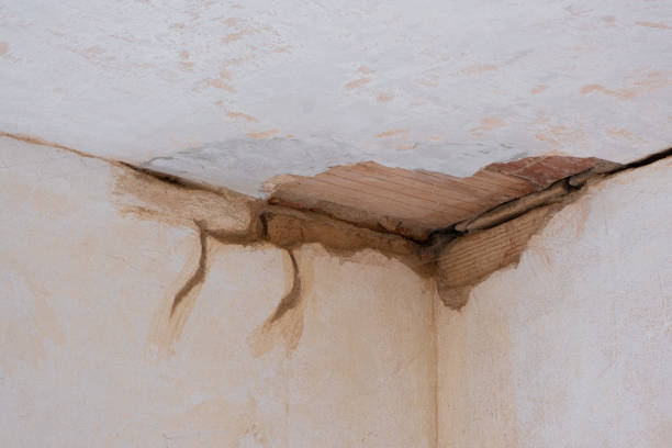 Best Commercial water damage restoration  in Lipscom, AL