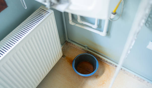 Best Professional water damage repair  in Lipscom, AL