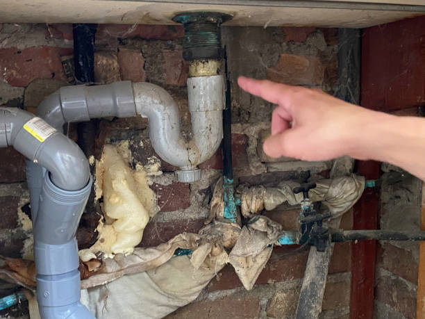 Best Sewage cleanup and water damage restoration  in Lipscom, AL