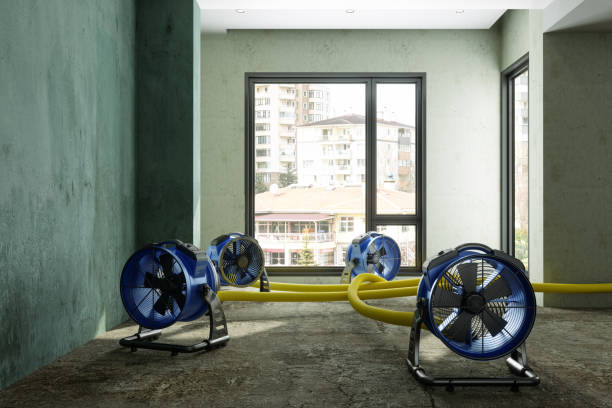 Best Flood restoration services  in Lipscom, AL